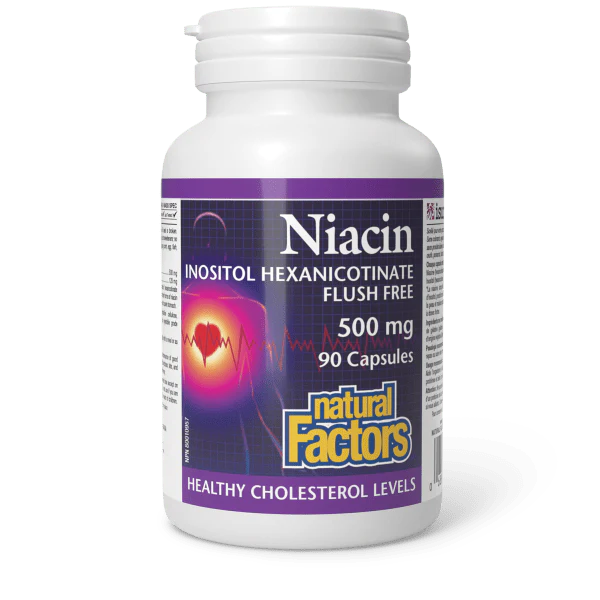 Natural Factors Niacin 500mg, 90 capsules