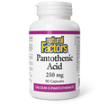 Natural Factors Pantothenic Acid 250mg, 90 capsules