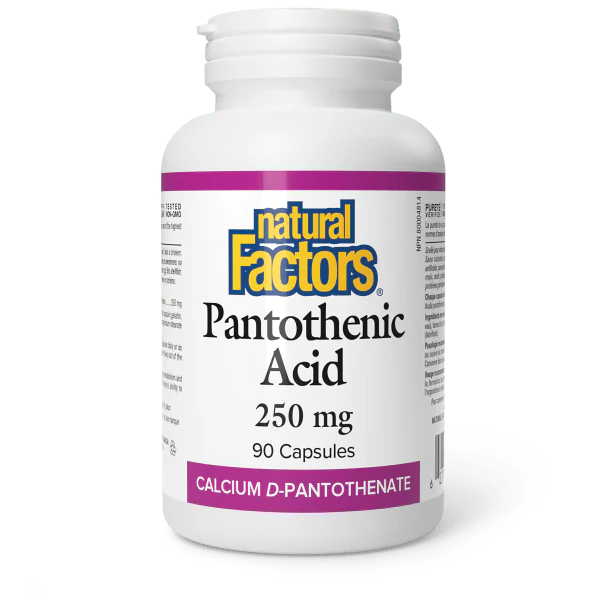 Natural Factors Pantothenic Acid 250mg, 90 capsules