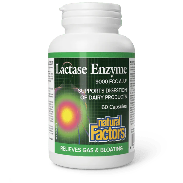 Natural Factors Lactase Enzyme, 60 capsules