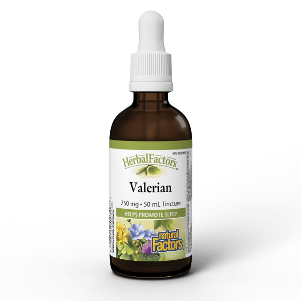 Natural Factors Valerian Root Tincture, 50ml