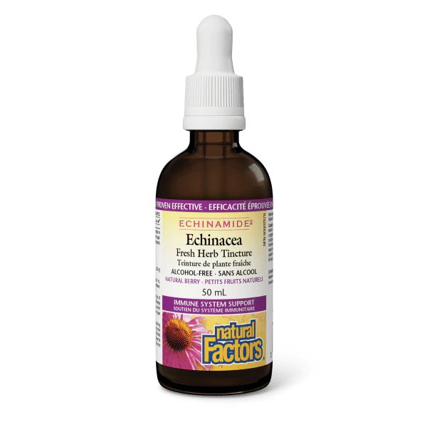 Natural Factors Echinamide Echinaecea Fresh Herb Tincture, Natural Berry, 50ml