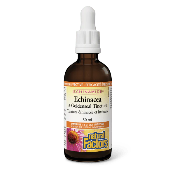 Natural Factors Echinamide Echinaecea & Goldseal Tincture, 50ml